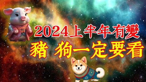 2024年屬豬運勢